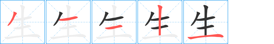 《生》的笔顺_演示生的笔顺及生字的笔画顺序 - 汉字笔顺 - 汉字笔顺网