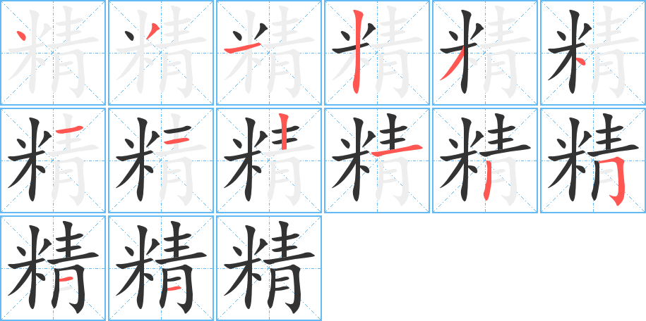 《精》的笔顺_演示精的笔顺及精字的笔画顺序 - 汉字笔顺 - 汉字笔顺网