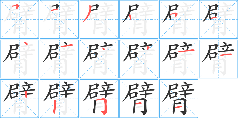 《臂》的笔顺_演示臂的笔顺及臂字的笔画顺序 - 汉字笔顺 - 汉字笔顺网
