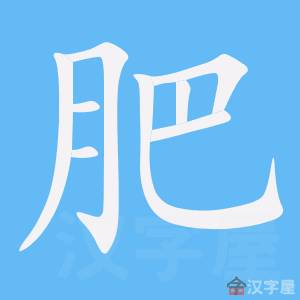 《肥》的笔顺_演示肥的笔顺及肥字的笔画顺序