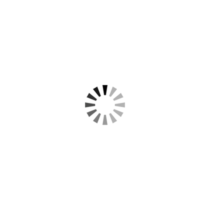 北极熊